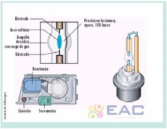 Tìm Hiểu Về Nguyên Lí Hoạt Động Và Cấu Tạo Của Đèn Xenon Ô Tô - Trường Trung Tâm Dạy Nghề Ô Tô - Xe Máy EAC Bóng đèn Xenon