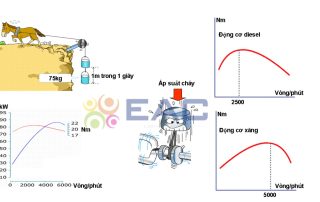 Tìm Hiểu Thông Số Cơ Bản Của Động Cơ Đốt Trong Ô Tô - Trường Trung Tâm Dạy Nghề Ô Tô - Xe Máy EAC Tìm Hiểu Thông Số Cơ Bản Của Động Cơ Đốt Trong Ô Tô - Trường Trung Tâm Dạy Nghề Ô Tô - Xe Máy EAC
